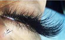 Load image into Gallery viewer, STATE BOARD APPROVED! Combo Lash Course (Learn to Lash 101 + Everything Volume)