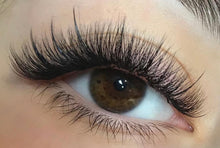 Load image into Gallery viewer, STATE BOARD APPROVED! Combo Lash Course (Learn to Lash 101 + Everything Volume)