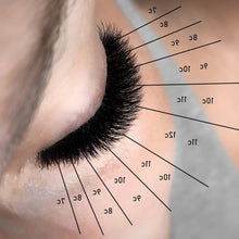 Load image into Gallery viewer, STATE BOARD APPROVED! Combo Lash Course (Learn to Lash 101 + Everything Volume)