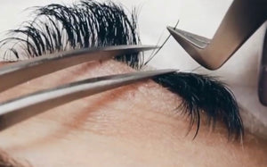 Learn to Lash 101