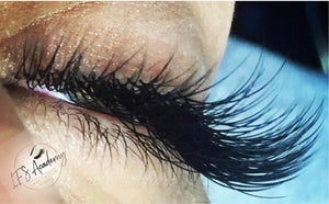 STATE BOARD APPROVED! Combo Lash Course (Learn to Lash 101 + Everything Volume)